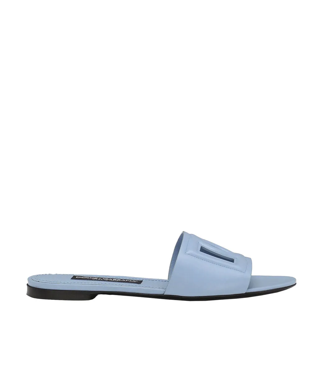 DG Flat Logo Slide in Blue