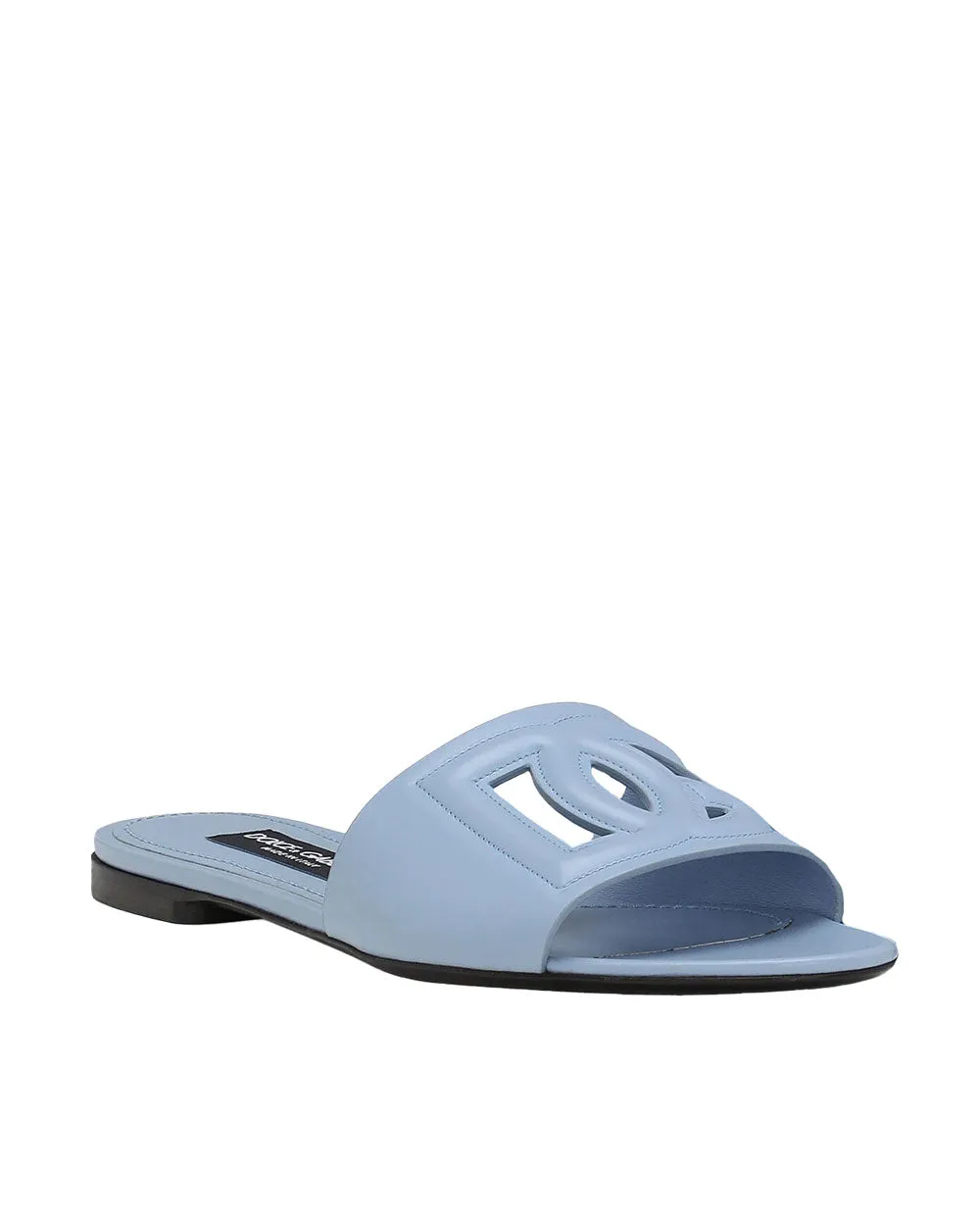 DG Flat Logo Slide in Blue